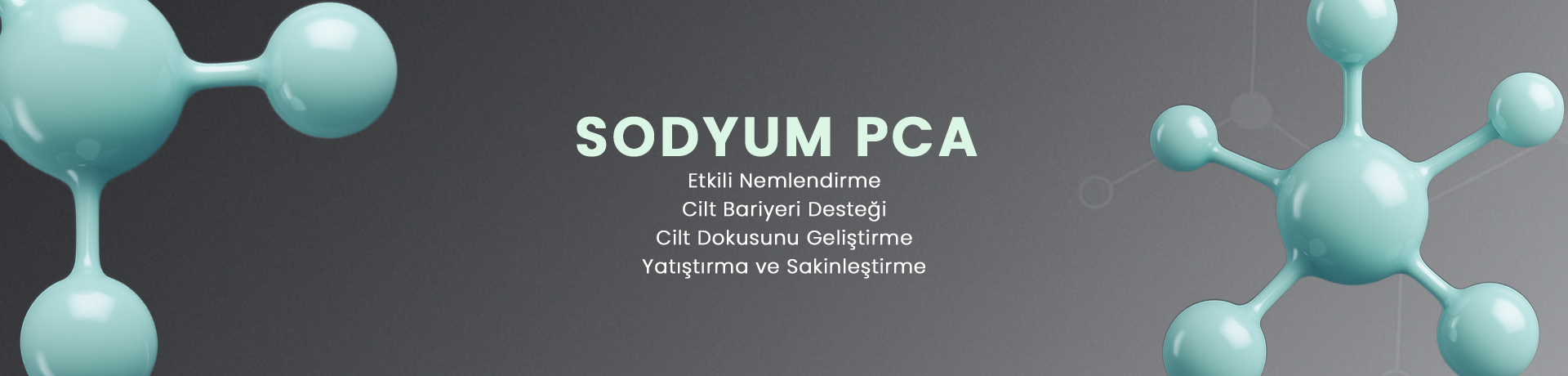 Sodyum PCA